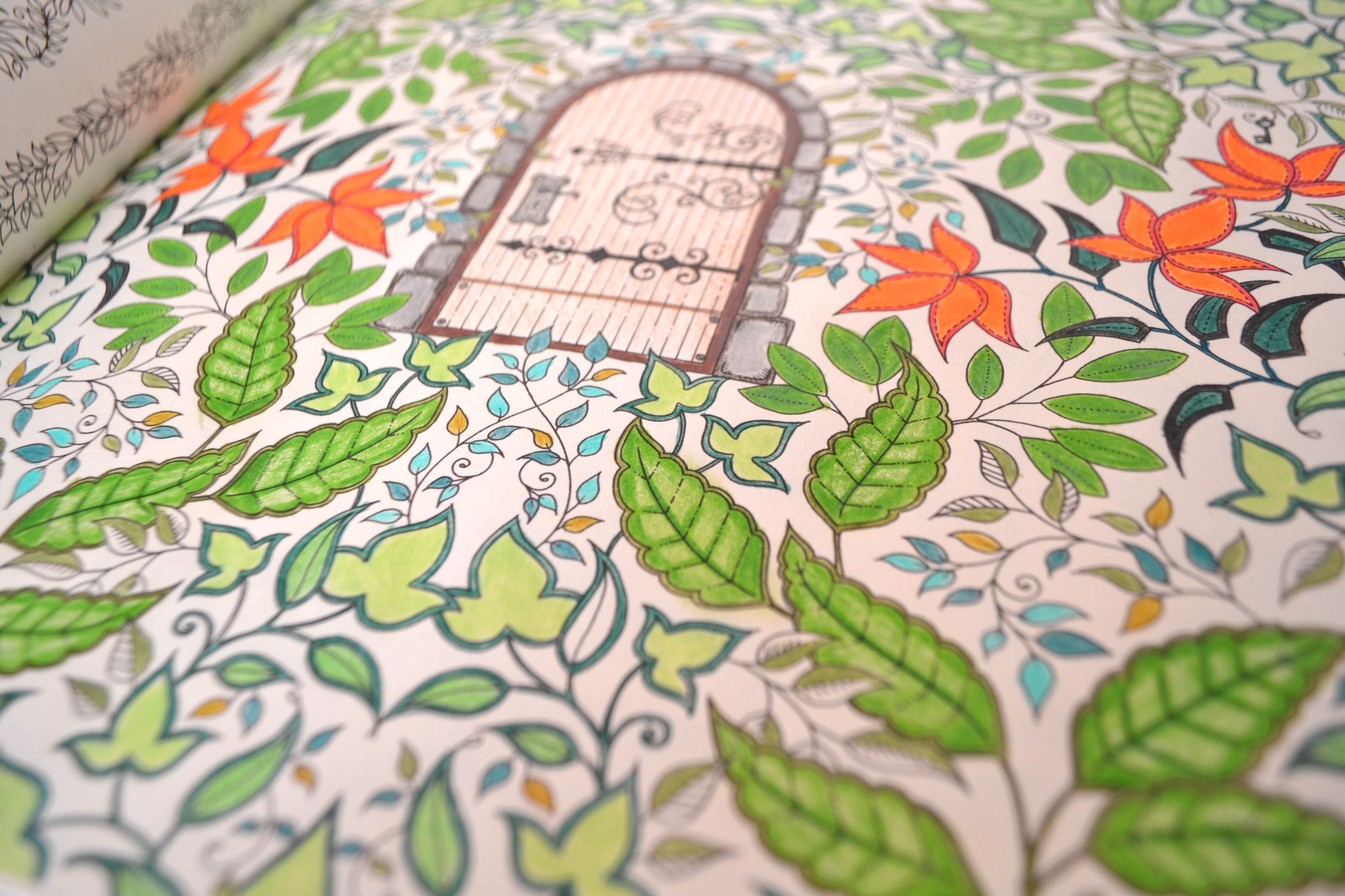 fotos jardim secreto:Tutorial para colorir livros? Fizeram um que é sensacional, veja aqui fotos jardim secreto:Tutorial para colorir livros? Fizeram um que é sensacional, veja aqui