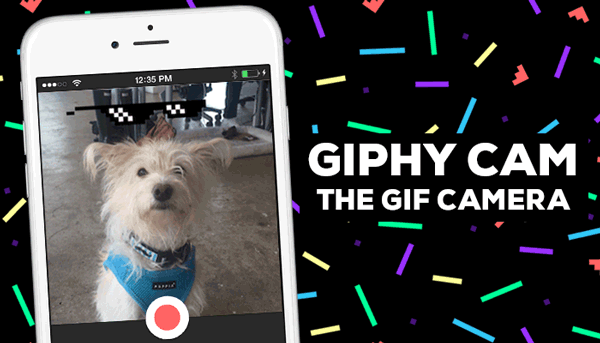 GIFs pra que te quero – Giphy lança aplicativo para criar GIFs com a sua  câmera - Blue Bus